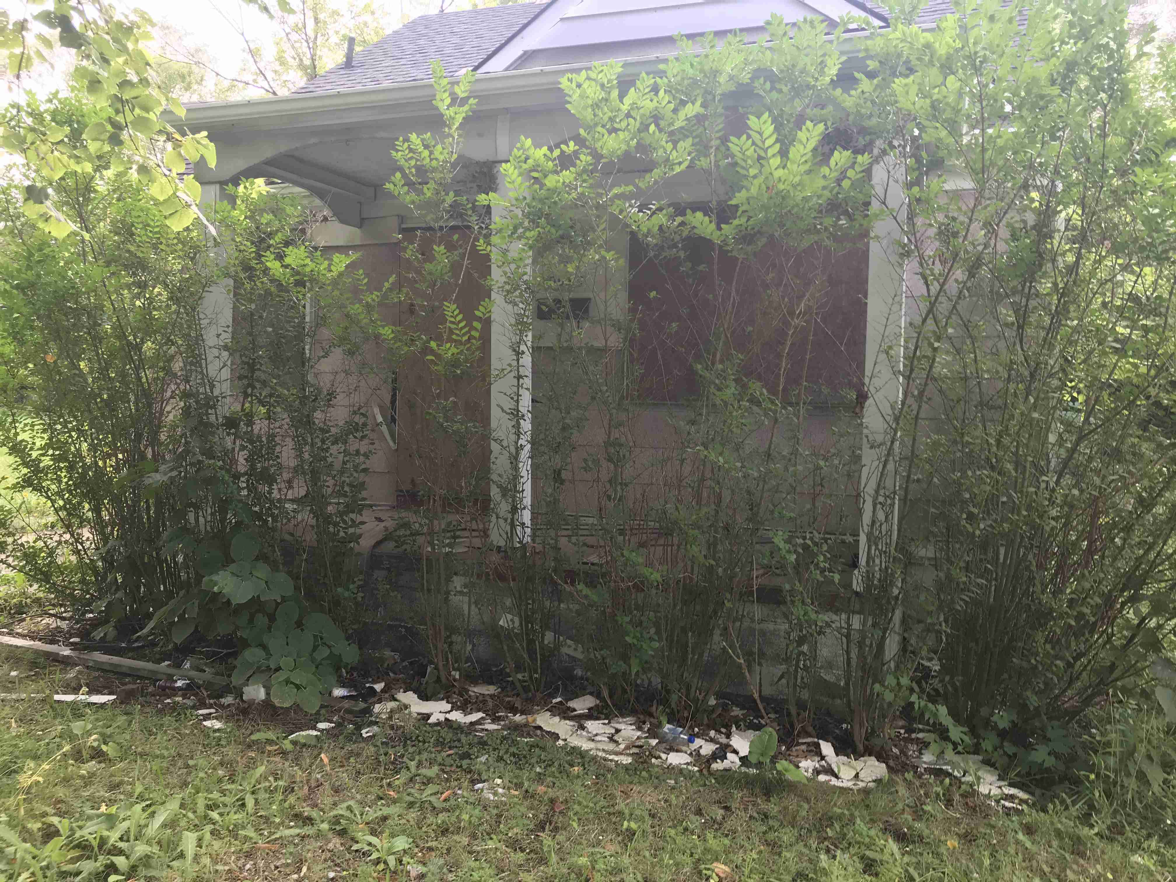 Photo Sep 09, 5 39 39 PM (1).jpg